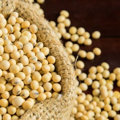 Soyabean